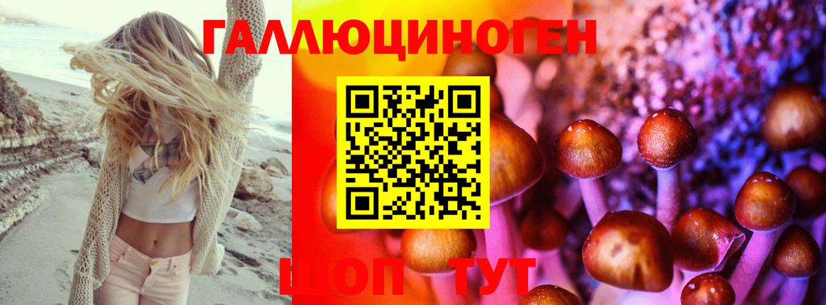 Коряжма  Псилоцибиновые грибы мухоморы  купить наркотики цена  Вход с VPN 